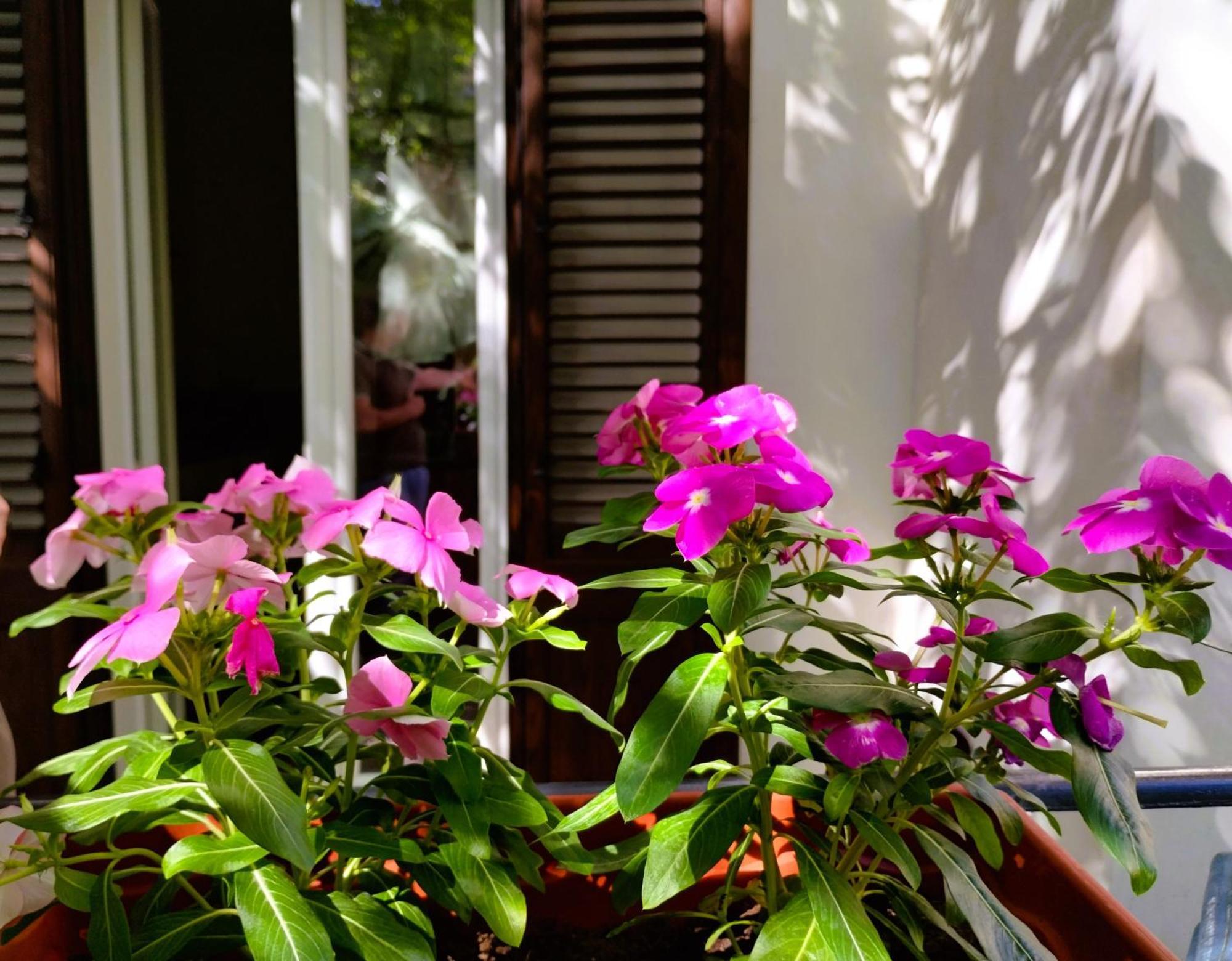Appartement Domus Vetriera à Palerme Extérieur photo
